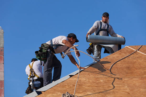 Best Storm Damage Roof Repair  in Dolgeville, NY