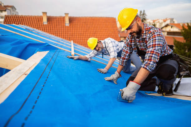 Best Metal Roofing Contractor  in Dolgeville, NY
